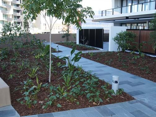 2 Million $ Plus Highly Commended - Landscape Solutions (Qld) - Unison Apartments, Newstead