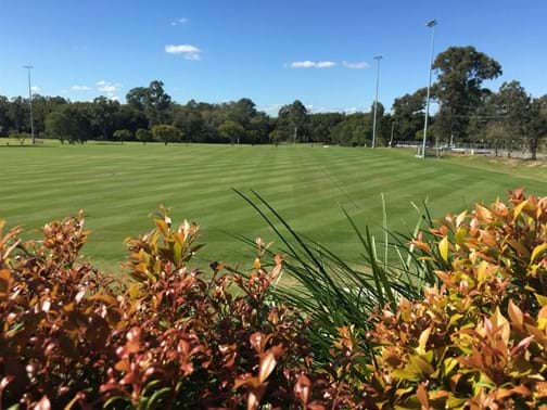 Maintenance - Commercial Over $250,000 Highly Commended - Green Options - Brisbane Girls Grammar School Playing Fields, Fig Tree Pocket