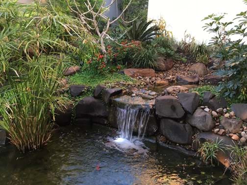 Best Landscape Feature Residential Winner - Tecscape Landscaping Contractors, Water Feature - Sanctuary Cove