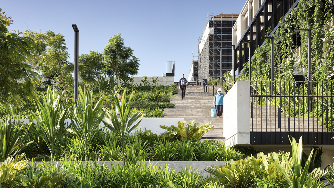 Winner Commercial over 1M: CBD Landscape Construction, Surgical Treatment & Rehabilitation Service (STARS), Brisbane