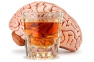 Brain & Alcohol