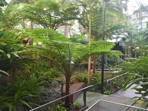 Maintenance Commercial Under $100k Highly Commended - Brookes Blooms - Union College, St Lucia