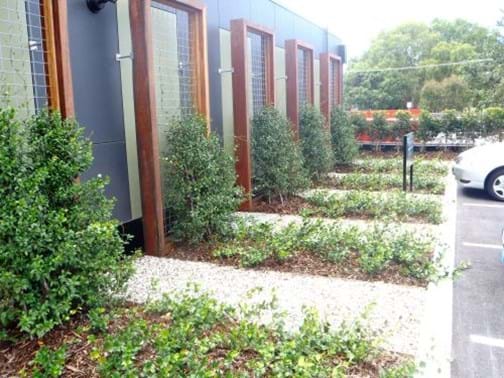 Commercial 1 - Scape Shapes