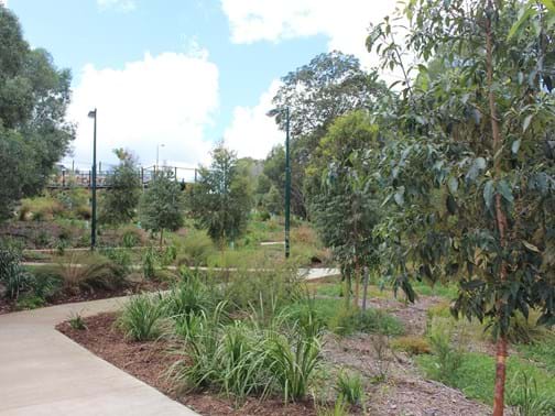 Ecological Rehabilitation Winner - Evolve Environmental Solutions - Ewer St Riparian Corridor, Carindale