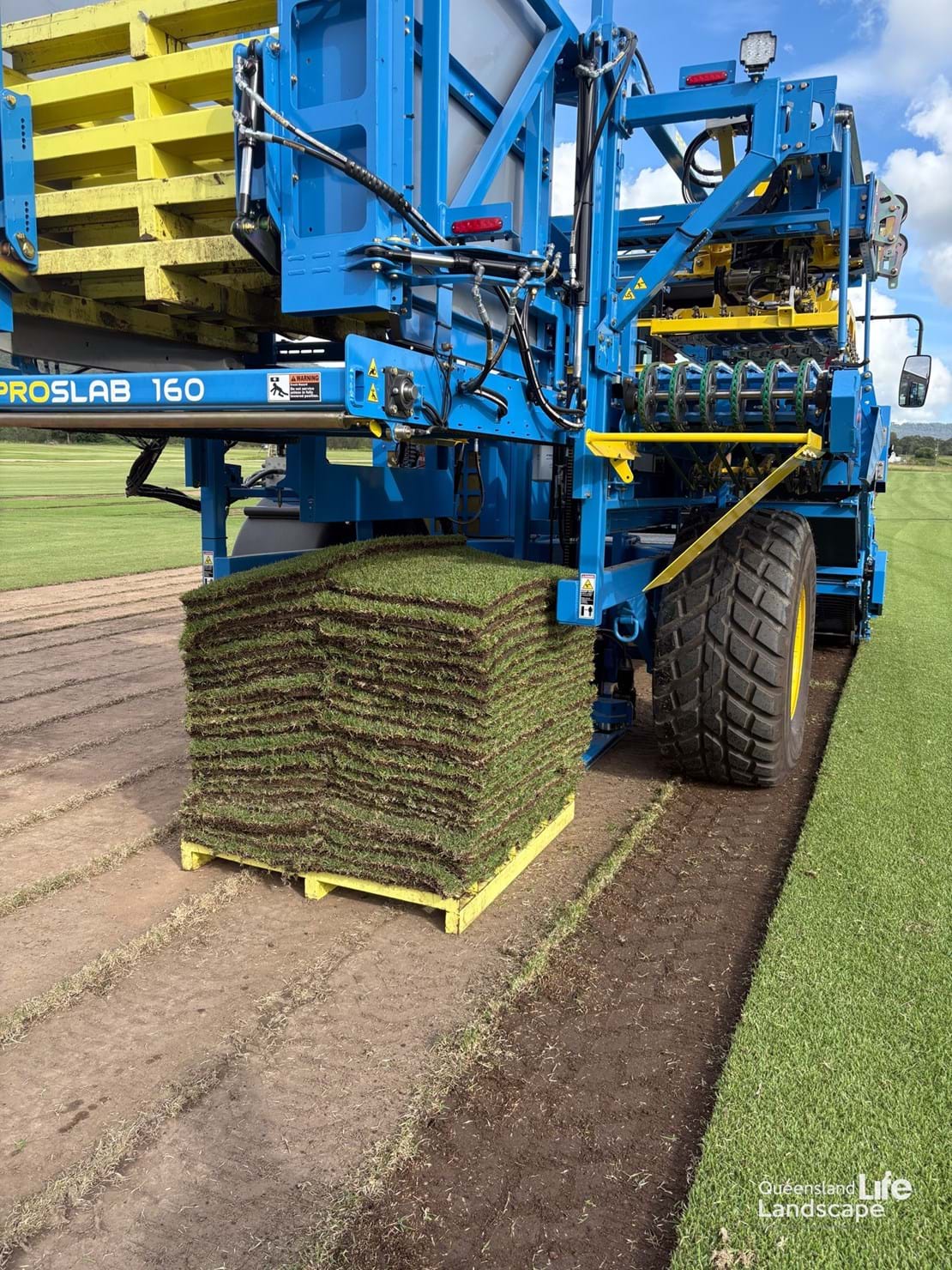 LQ On-Site: The Green Shift - The Turf Shed