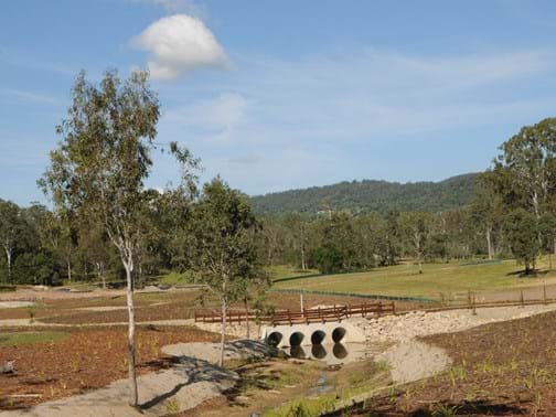 Ecological Rehabilitation - Interface Landscapes - Samford Skies
