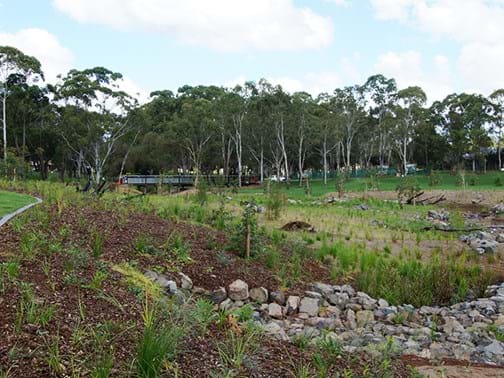 Ecological Rehabilitation - Landscape Solutions (Qld) - Garnet Lehmann Park, Toowoomba