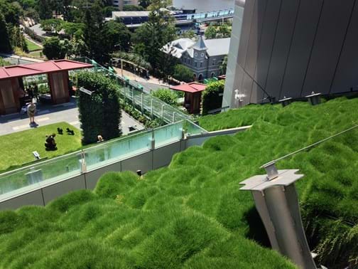 Maintenance Commercial $100k to $250k Winner - Landscape Solutions (Qld) - Lady Cilento Children's Hospital, South Brisbane