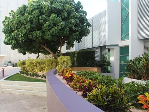 Maintenance - Commercial Over $250k - Landscape Solutions (Qld) - Epraim Island, Paradise Point