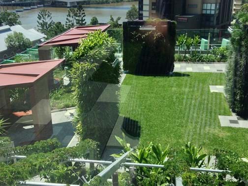 2015 Qld Landscape Construction of The Year - Landscape Solutions (Qld) - Lady Cilento Children's Hospital, South Brisbane