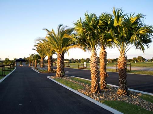 Irrigation - Living Style Landscapes - Entrance Island, Birtinya