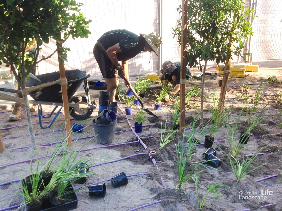 LQ On-Site: Setting the Standards in Central Queensland - Greenscape Gladstone