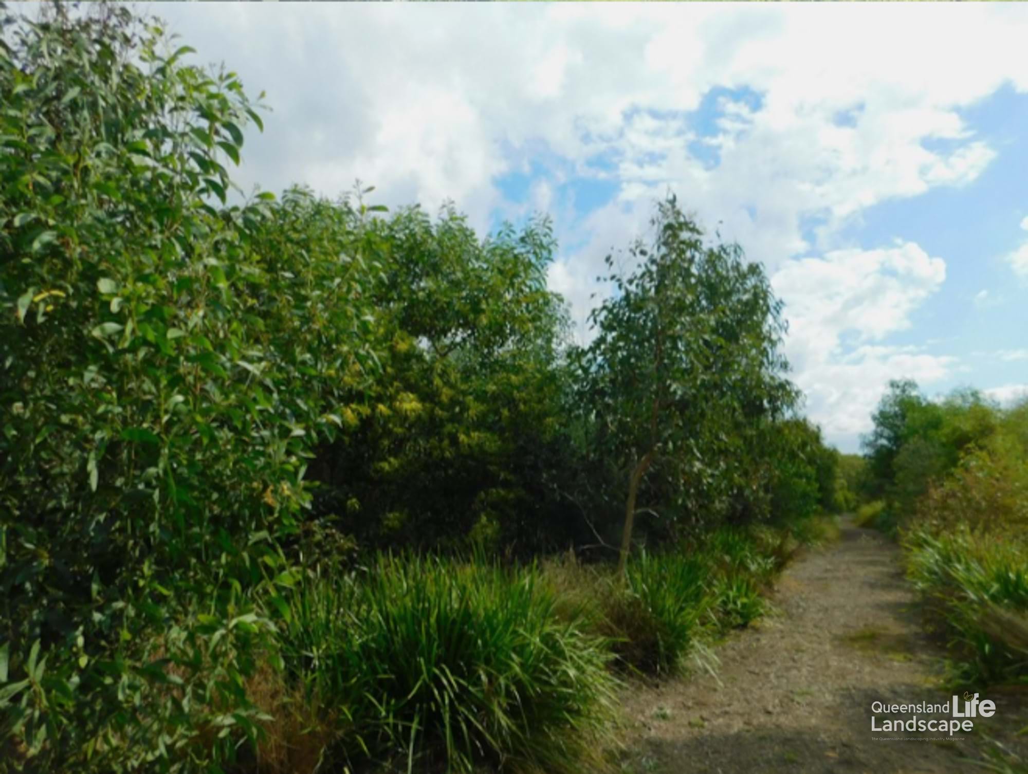 LQ On-Site: Sustainable Landscapes: Incorporating Sustainability into Your Landscape Design