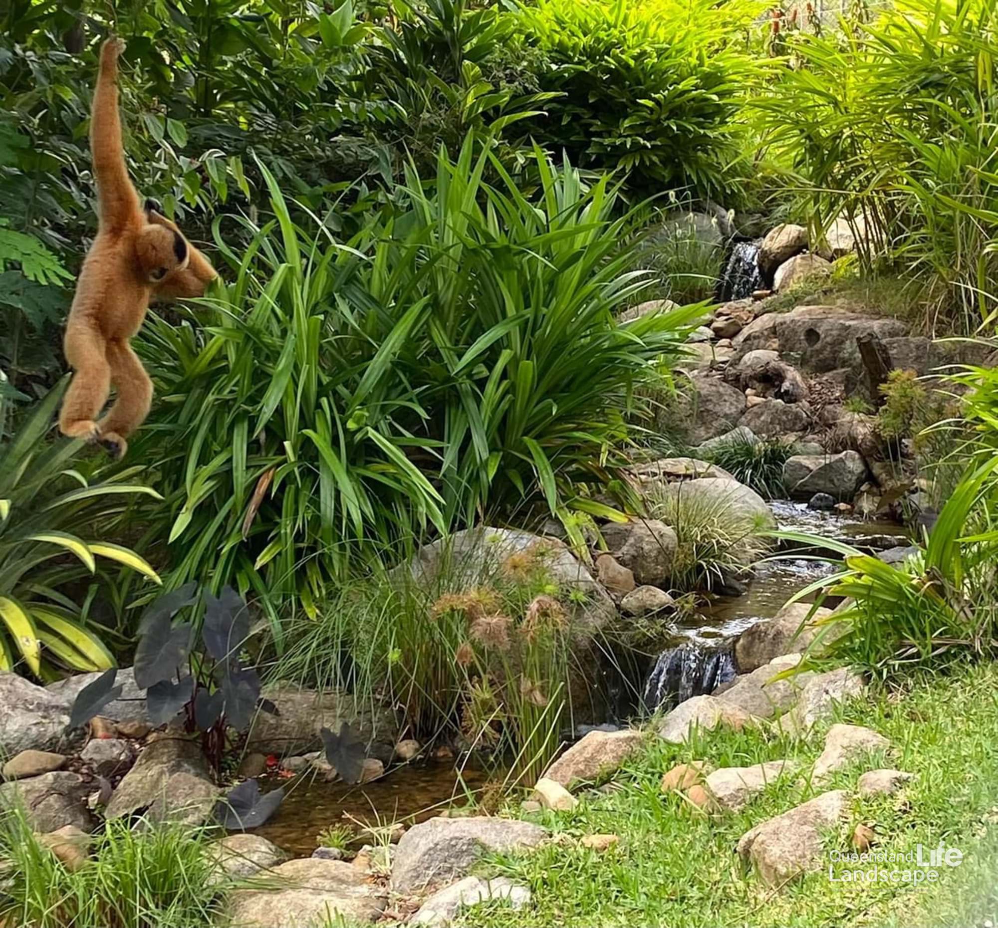 LQ On-Site: Transforming Wildlife: A Collaboration with Aquascape Australia & Wildlife HQ Zoo