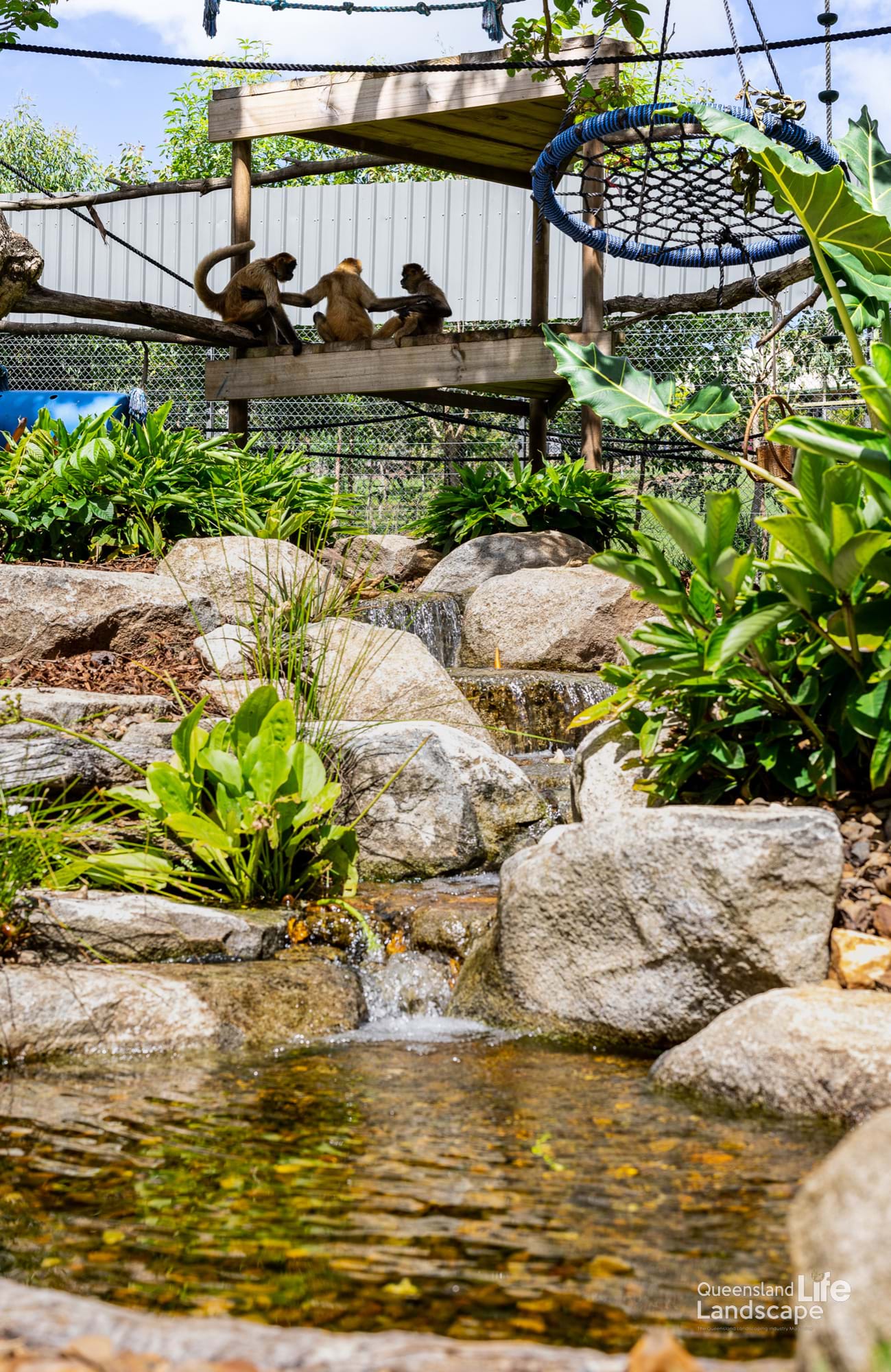 LQ On-Site: Transforming Wildlife: A Collaboration with Aquascape Australia & Wildlife HQ Zoo