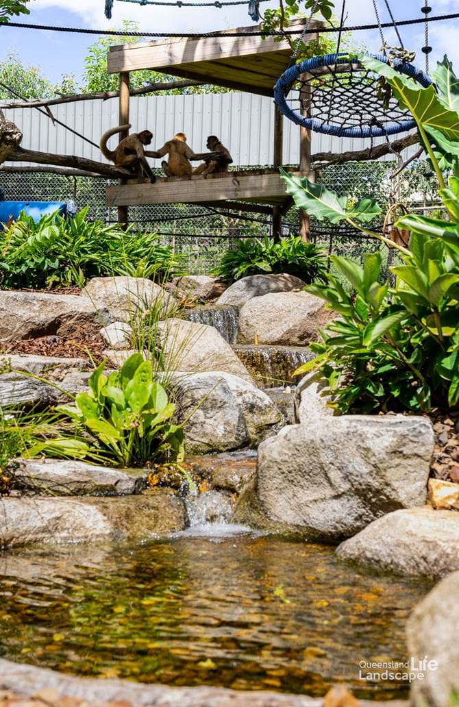 LQ On-Site: Transforming Wildlife: A Collaboration with Aquascape Australia & Wildlife HQ Zoo