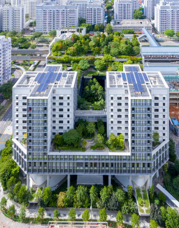 LQ On-Site: Greening Our Urban Centres: It's time for a cohesive approach