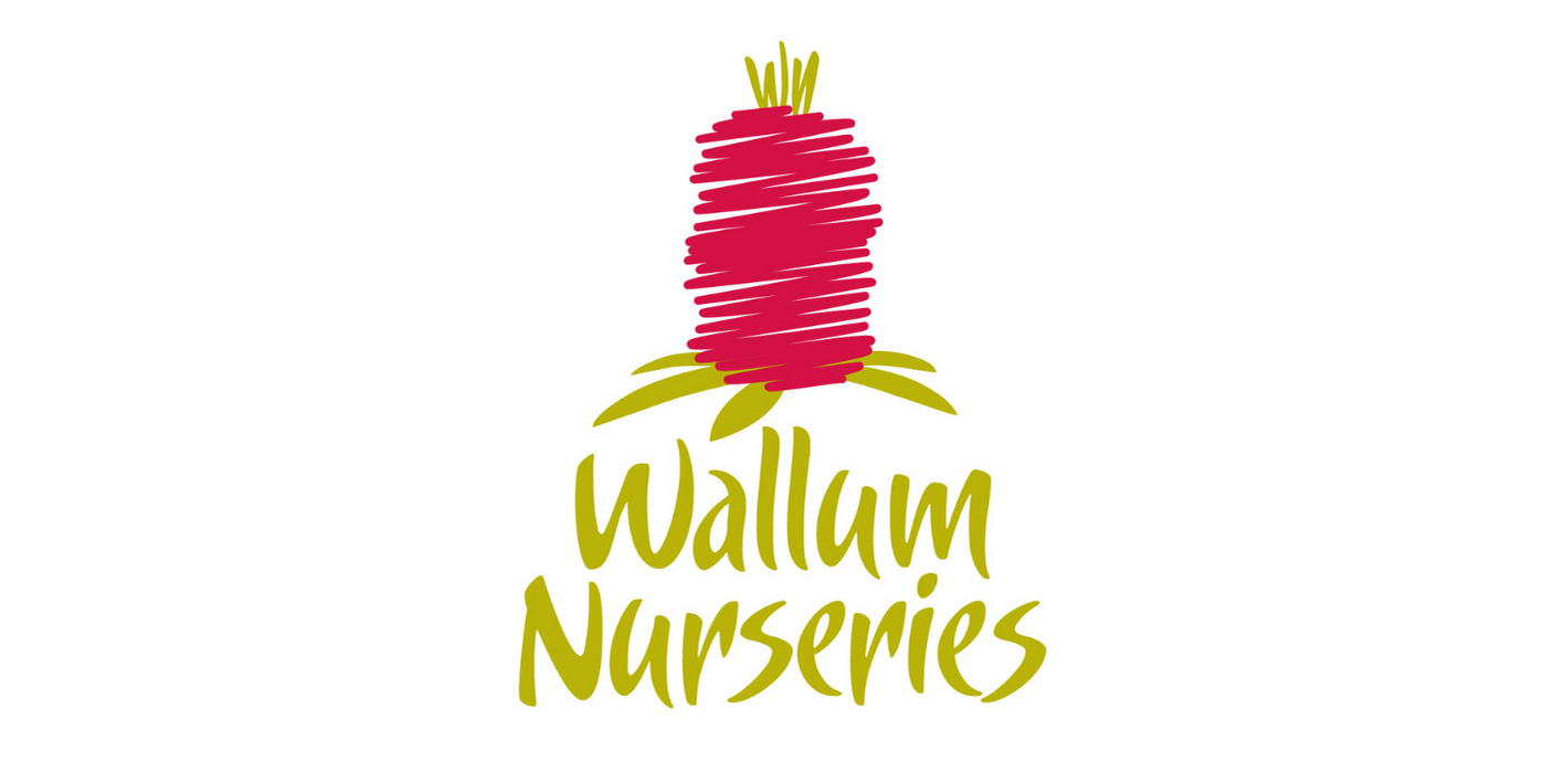 Wallum Nurseries